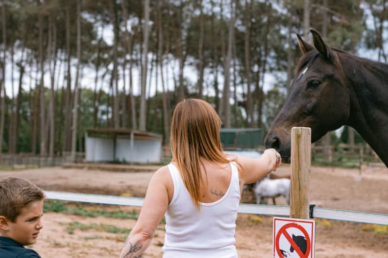 Domaine AbracadaRoom : Domaine El Campo - Image 14