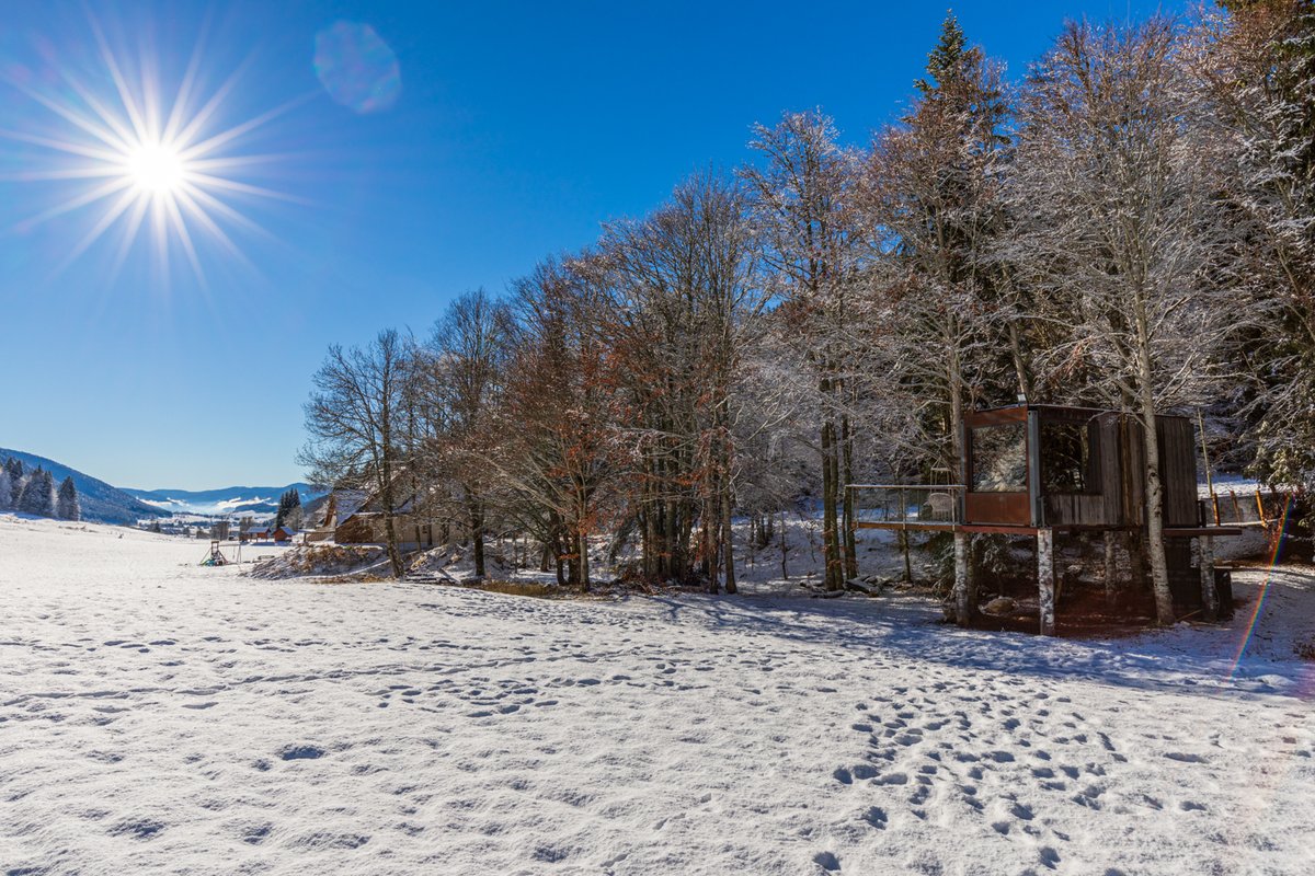 Cabane perchée, un cadre exceptionnel en pleine nature à Autrans (33)