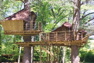 Cabane des Ouistitis