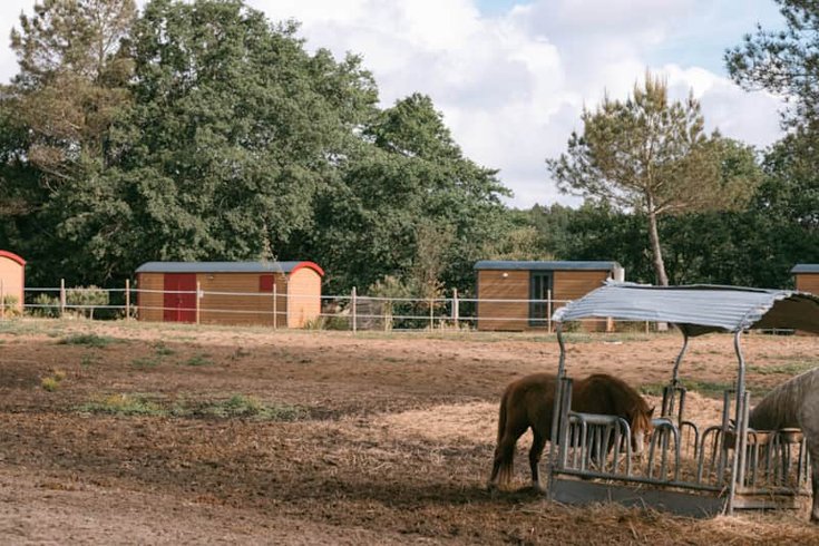 Hébergement AbracadaRoom : Roulotte supérieure  - Campo 1 - Image 1