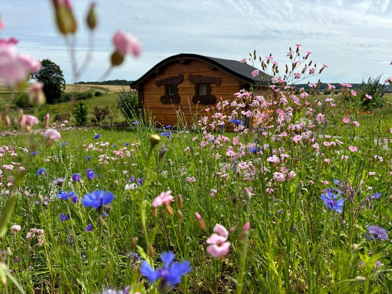 Domaine AbracadaRoom : Aux lodges de Morvaux - Image 1
