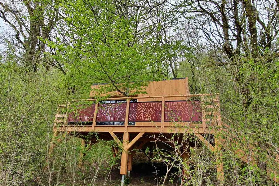 Cabane perchée Carpinus & Spa — photo 2