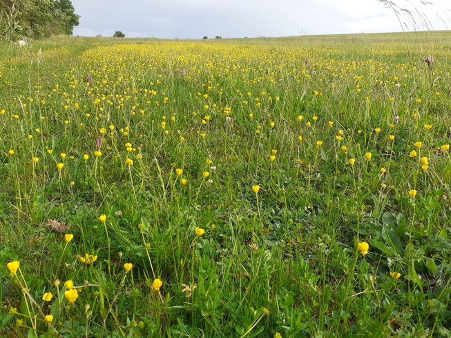 Domaine AbracadaRoom : A la douceur des chênes - Image 4