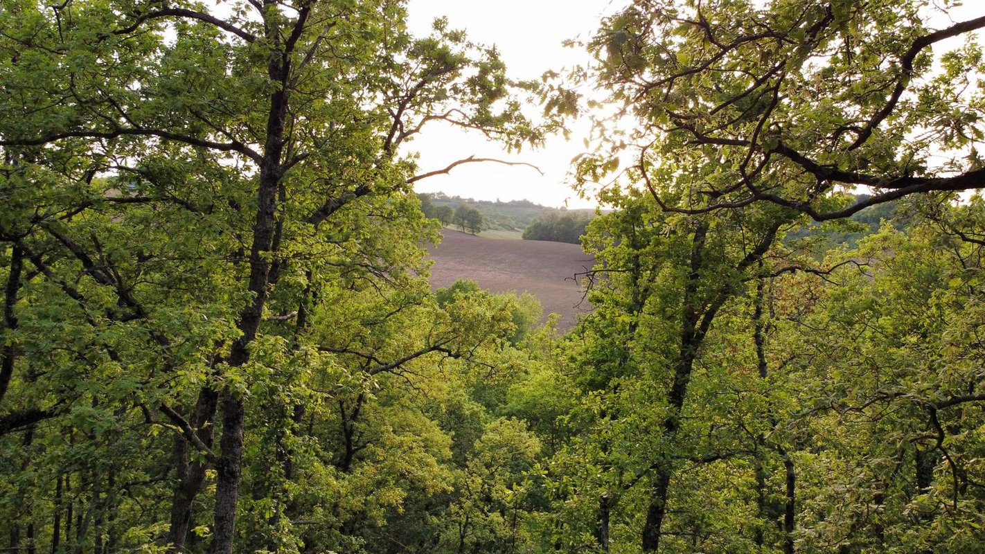 La cabane entre les cimes à Montgras (12)