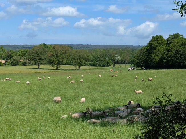 Domaine AbracadaRoom : Datcha en Brocéliande - Image 1
