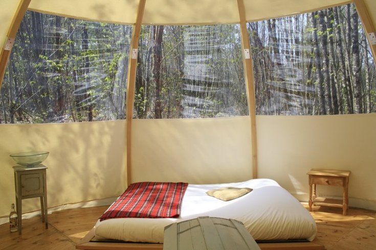 Hébergement AbracadaRoom : Bulle de Forêt - Image 1