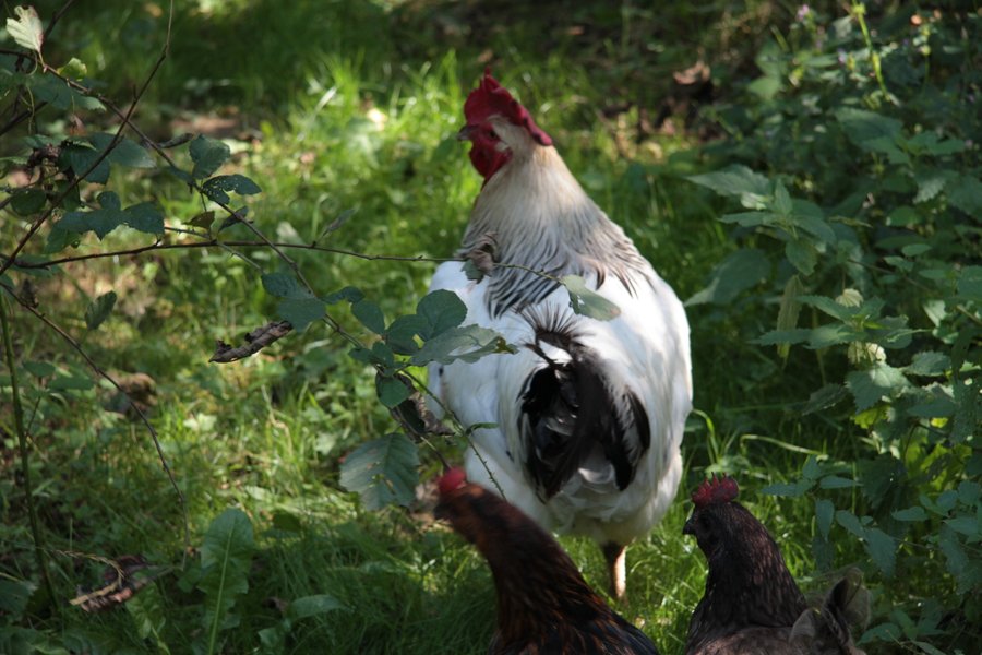 Domaine AbracadaRoom : Ô Saveur de l'instant - Image 4