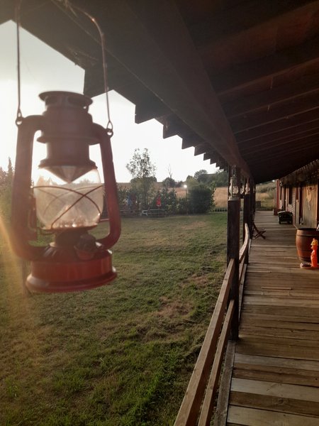 Domaine AbracadaRoom : Wallaby de Benett'on - Image 5