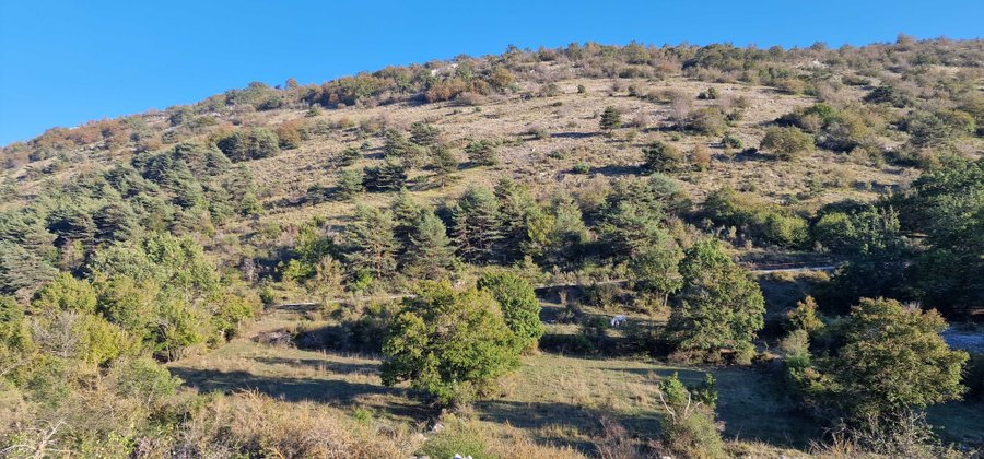 Domaine AbracadaRoom : BULLES DE REVES - Image 8