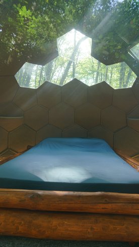Hébergement AbracadaRoom : Bulle  au coeur des bois- Royaume des Textures - Image 5