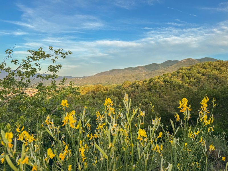 Domaine AbracadaRoom : Homnest (Céret) - Image 11