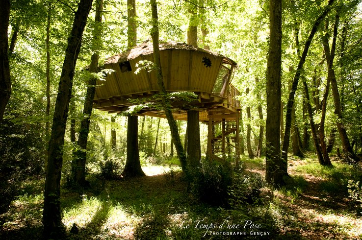 Hébergement AbracadaRoom : Cabane des Chimpanzés - Image 1