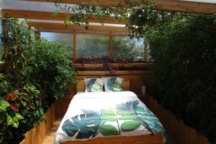 Les nuits insolites des Brasseurs