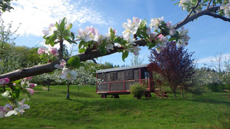 roulotte hôteliére