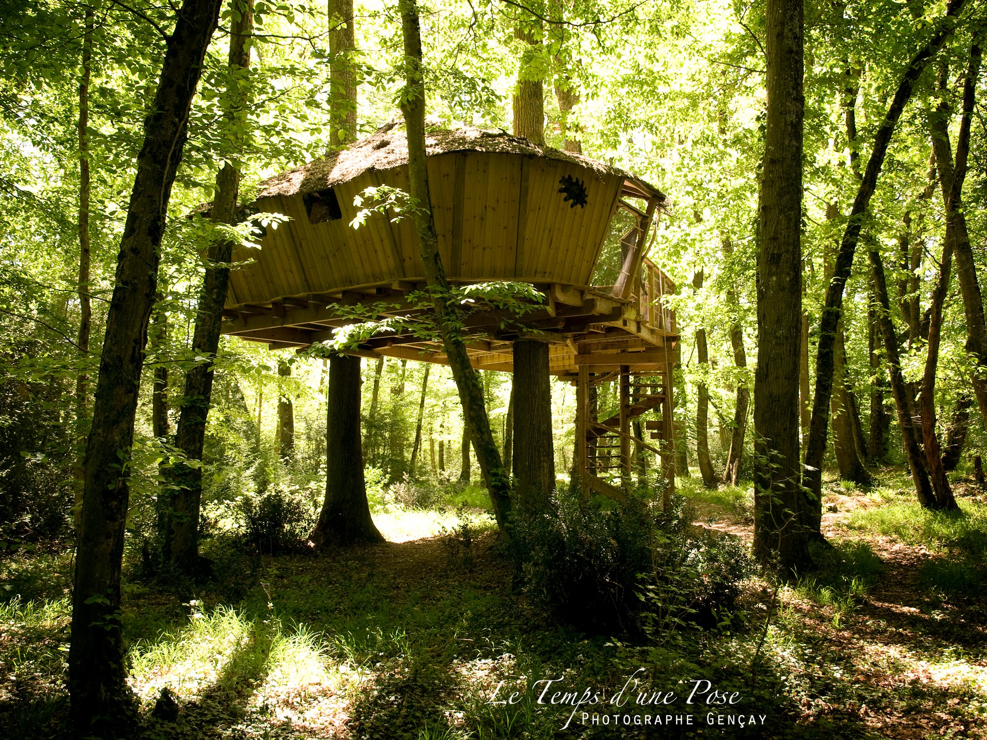 Cabane des Chimpanzés