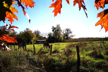 La Roulotte des Clartés & Spa à Antully (3)