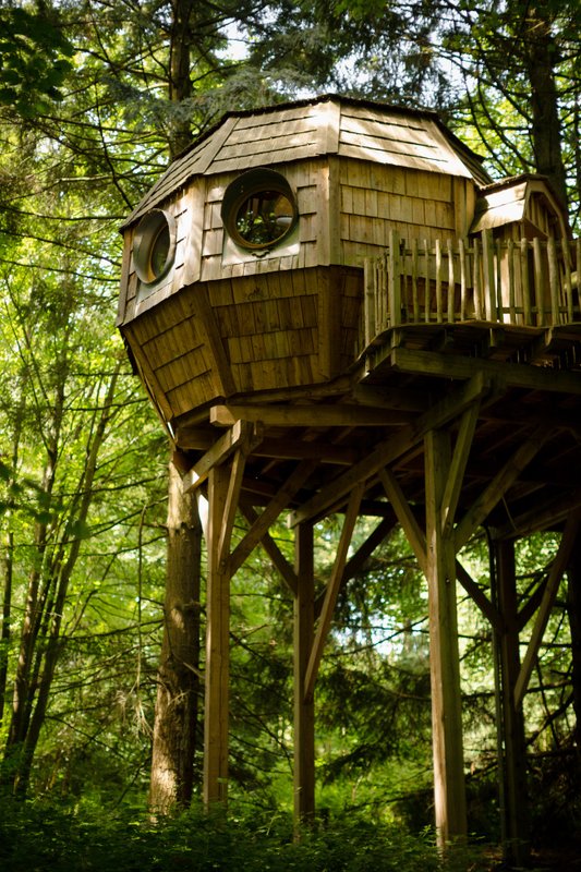 Cabane Spa Coupole à Raray (3)
