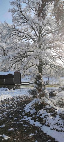 Domaine AbracadaRoom : Ma Roulotte sous les Chênes - Image 14