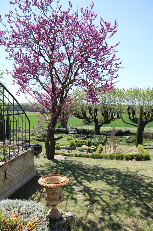 La Cabane de La Tortillère à Marcay (7)