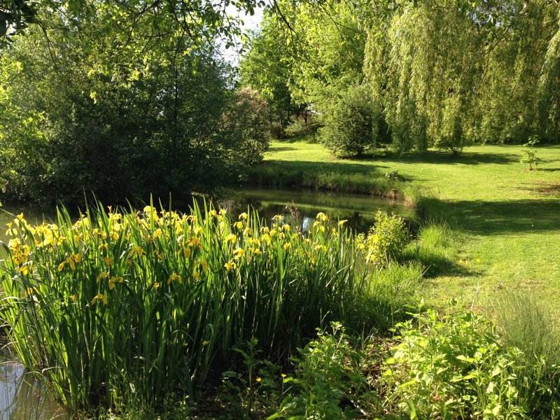 Domaine AbracadaRoom : Lac Appaloosa - Image 12