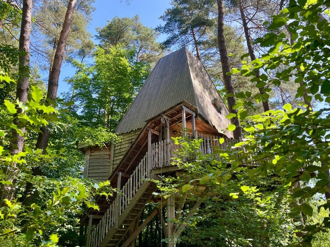 Domaine AbracadaRoom : Cabanes Nids des Vosges - Image 9