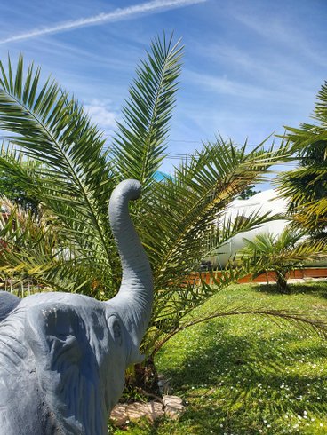 Hébergement AbracadaRoom : BALI BULLE - Image 10