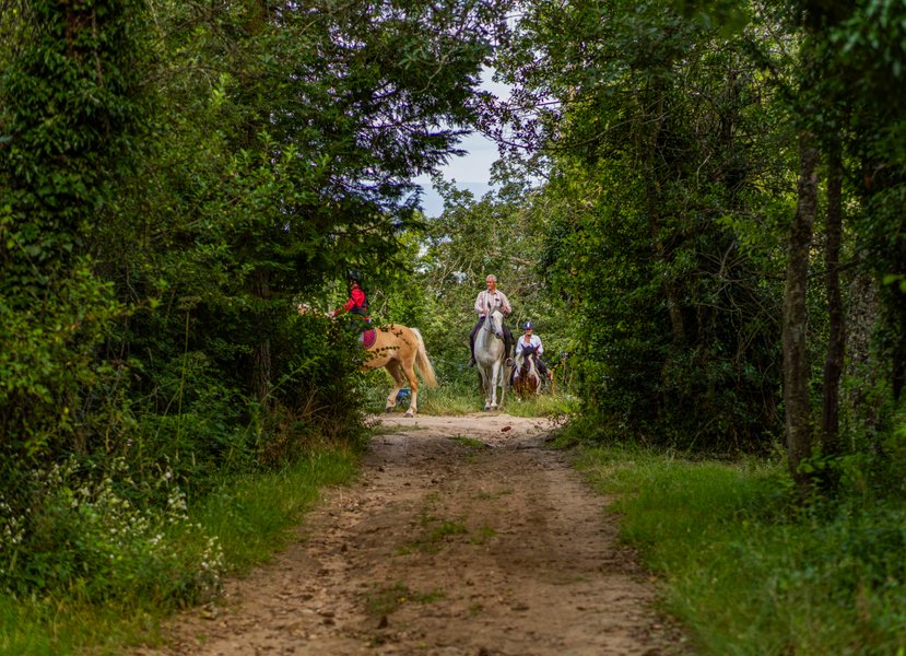 Domaine AbracadaRoom : Homnest (Chatel-Guyon) - Image 10