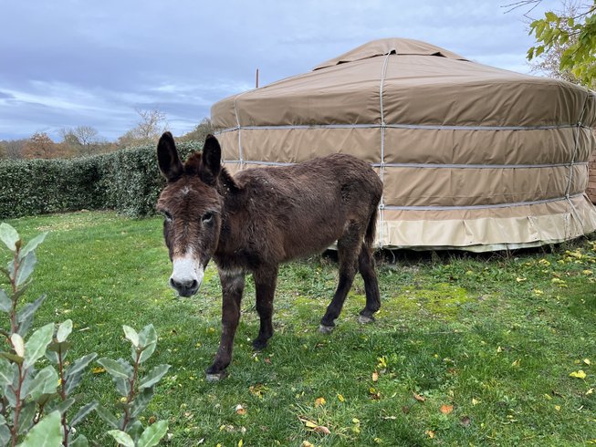 Domaine AbracadaRoom : La Buissonnière Lodges - Image 10