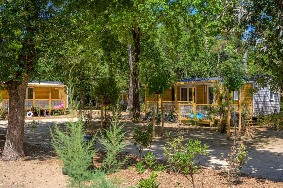 Domaine AbracadaRoom : Flower Camping Au Bois des Biches - Image 36