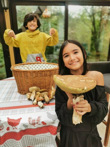 Hébergement AbracadaRoom : Gîte dans les bois, au coeur du Périgord noir avec étang privé - Image 16