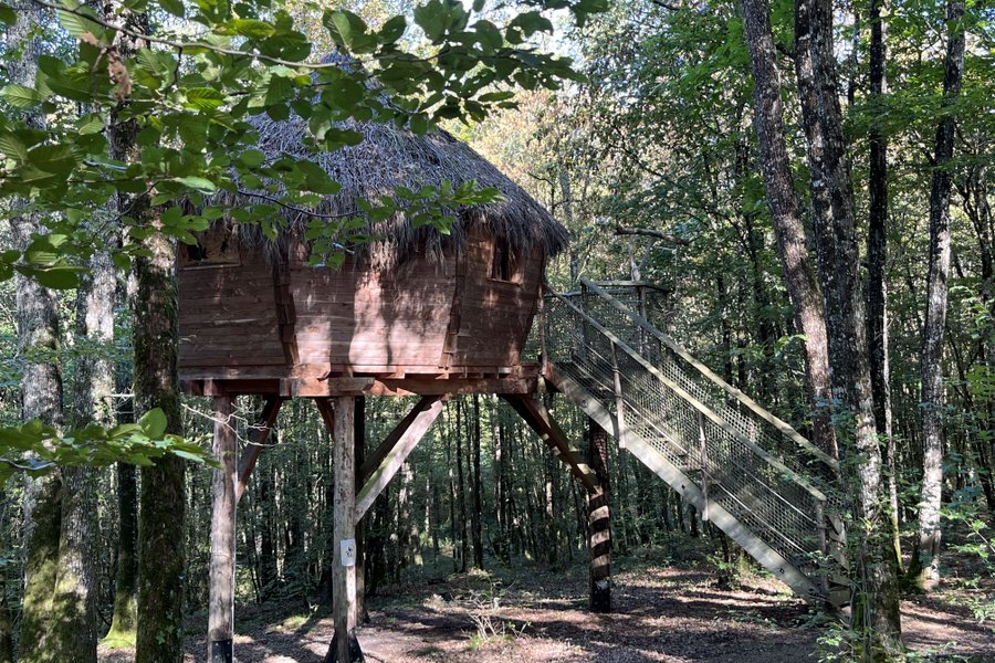 Cabane aux fées — photo 2