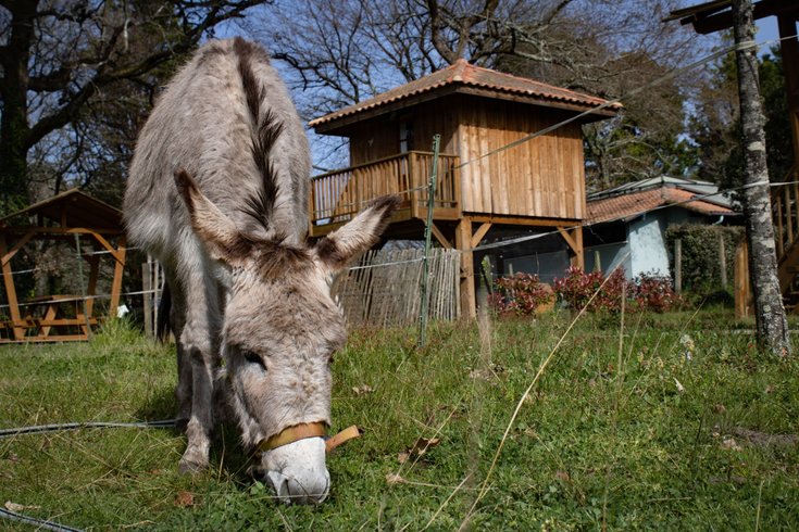 Domaine AbracadaRoom : Camping Landes Azur - Image 6