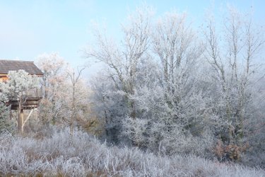 La Cabane-Spa des Figuiers à Salignac-Eyvigues (3)