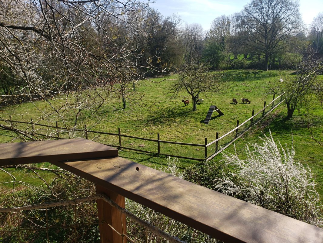 Cabane du domaine du Valdorgère  & Piscine à Bailleul La Vallée (8)