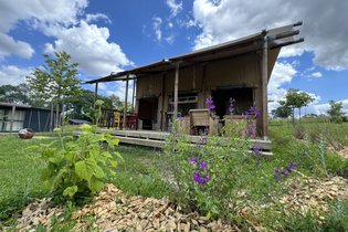 Tente Safari Lodge (34 m2 - 2 ch - 5 pers)