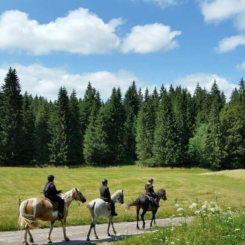Les Logettes de Caroline, Ecolodge & Bain Nordique à Fort Du Plasne (33)
