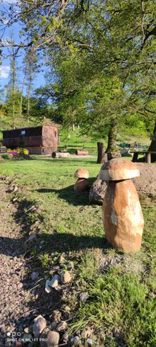 Domaine AbracadaRoom : Ma Roulotte sous les Chênes - Image 17