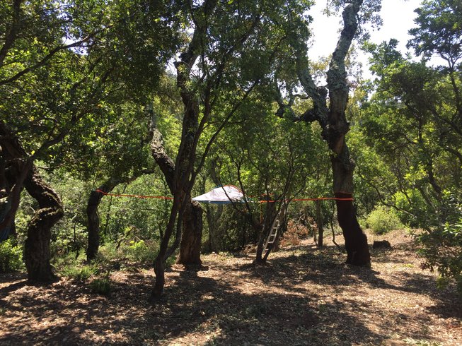 Domaine AbracadaRoom : La Gabinoialle des Maures - Image 2