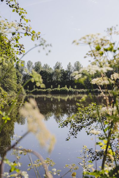 Hébergement AbracadaRoom : Parcel Tiny House - Picardie proche Lille et Paris vue lac - Image 16