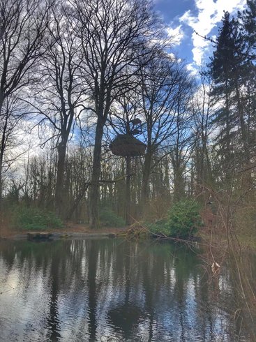 Hébergement AbracadaRoom : La cabane Haut-Perchée & Spa & Sauna - Image 12