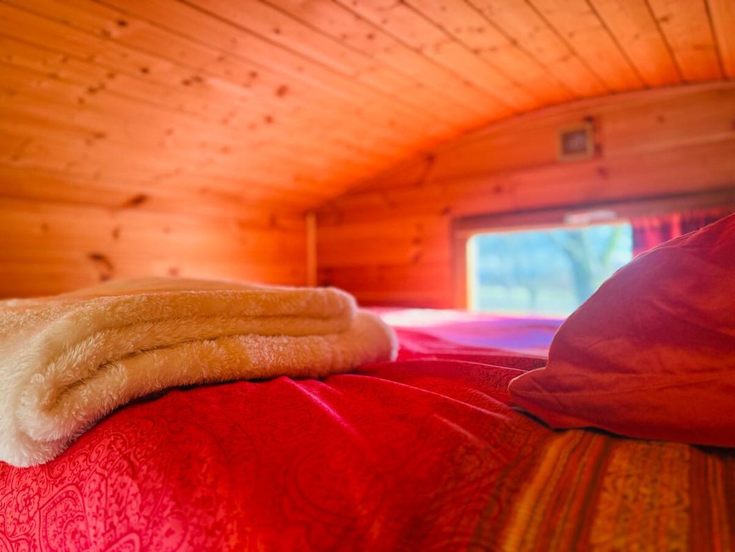 La petite roulotte de Vallin | Nature | Cosy à Torchefelon (6)