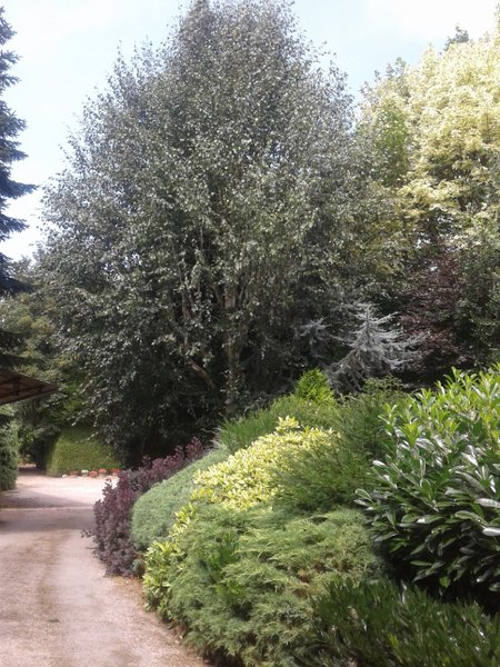 Domaine AbracadaRoom : Graine d'insolite - Image 3