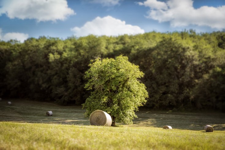 Domaine AbracadaRoom : La Mandrélie - Image 5