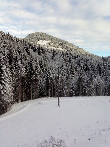 Hébergement AbracadaRoom : Chambre Roulotte et spa privatif  vue montagne - Image 12