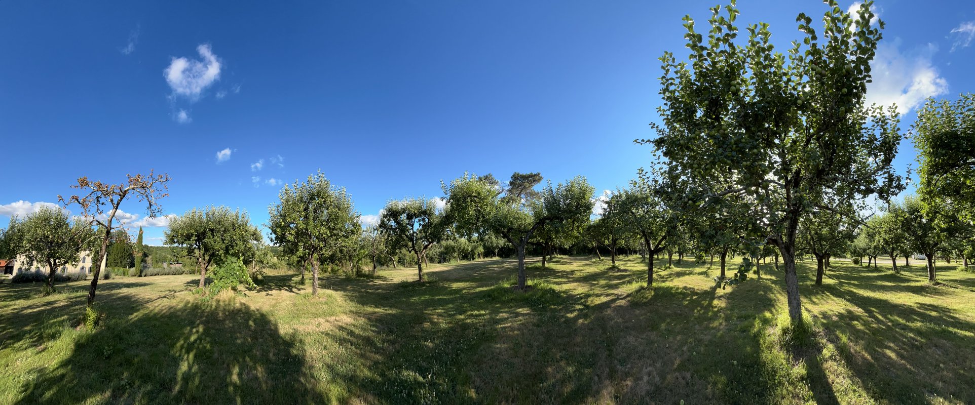 Notre Cabane perchée & son lac privé à Sadirac (29)