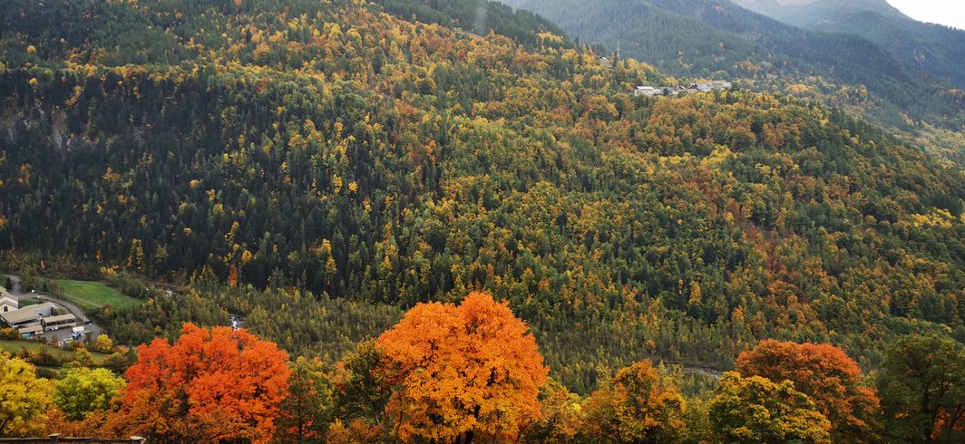 Domaine AbracadaRoom : Chalet des Babous - Image 11