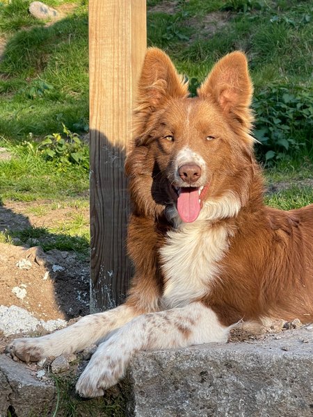 Domaine AbracadaRoom : Ferme Jean des Houx - Image 16