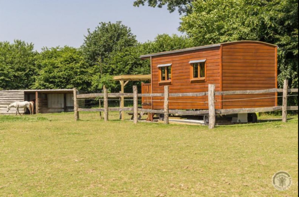 Pony House : séjour nature en Normandie à La Chapelle-Cécelin (15)