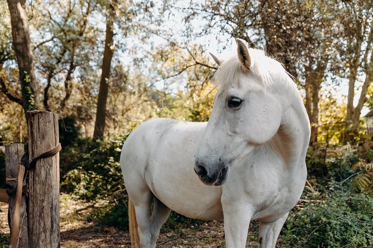 Domaine AbracadaRoom : Domaine de Biar - Image 39