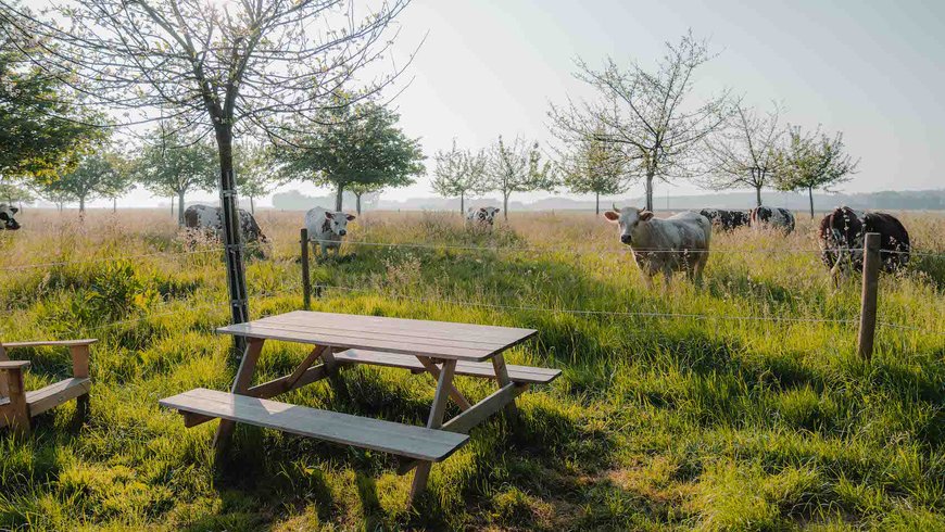 Domaine AbracadaRoom : Parcel Tiny House - dans un verger en Normandie - Image 12